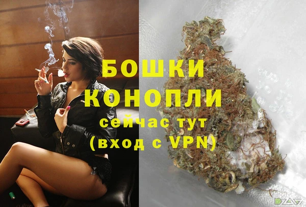 apvp Дмитриев