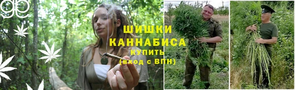 apvp Дмитриев