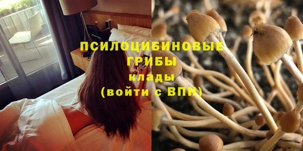 прущая мука Дмитровск
